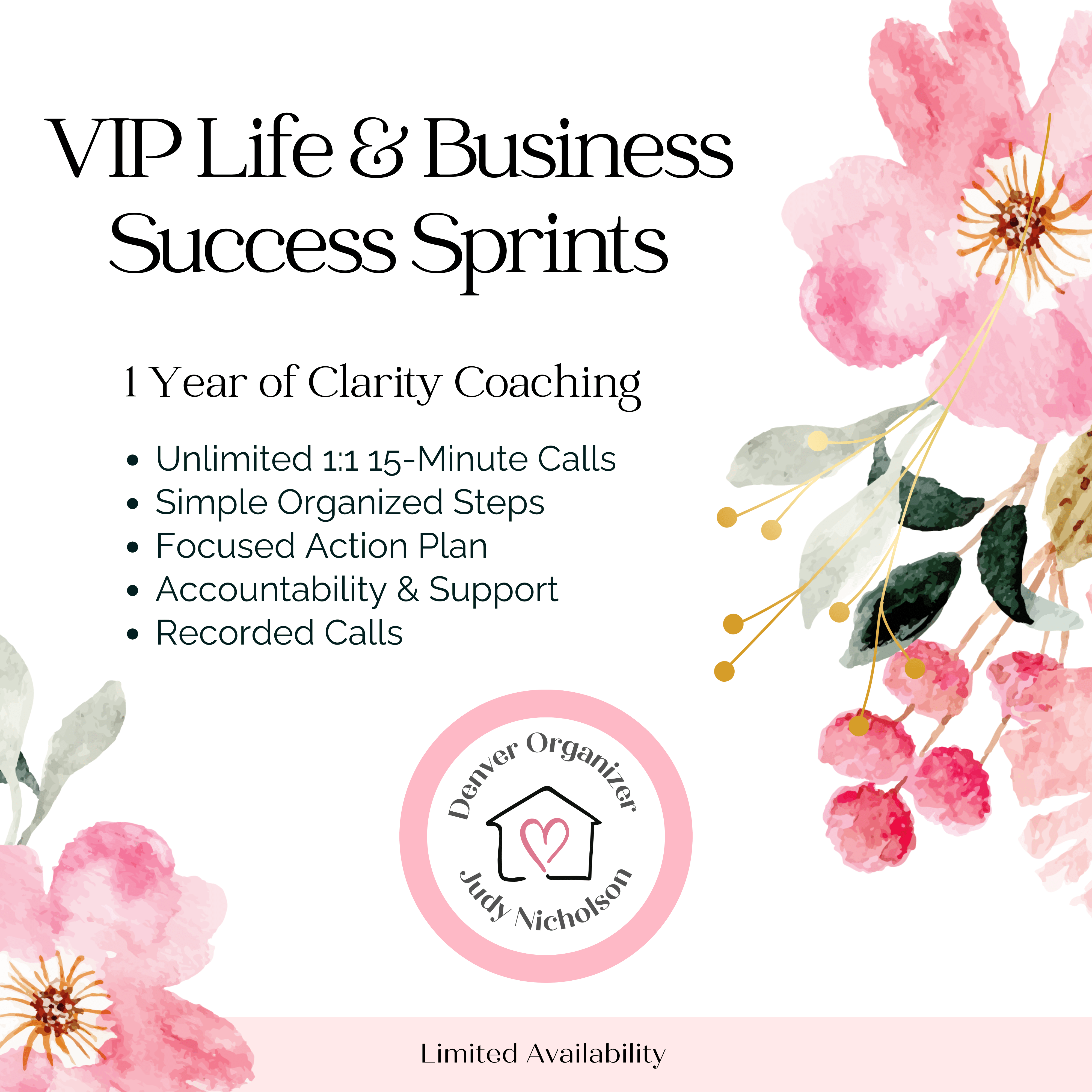 VIP Life & Business Success Sprint | Clarity Coaching | Denver Organizer | Judy Nicholson